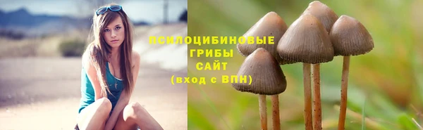молекула духа Новодвинск