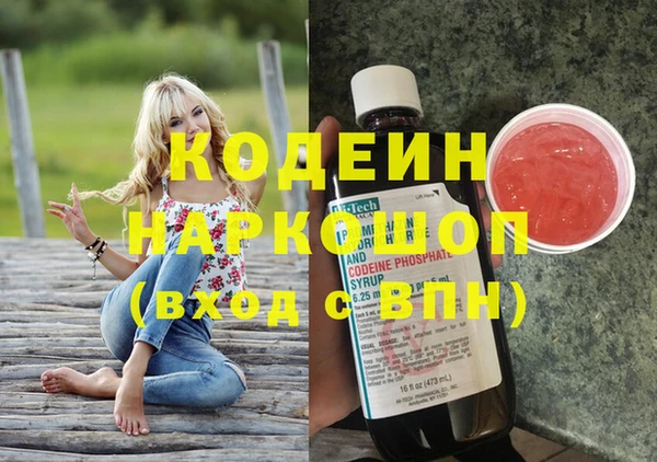 скорость Новозыбков