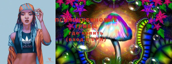 скорость Новозыбков