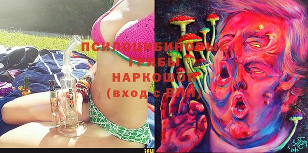 молекула духа Новодвинск