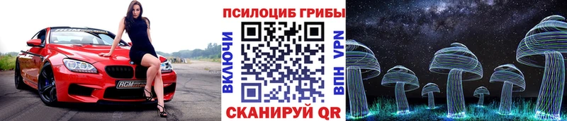 наркотики  Киров  Галлюциногенные грибы Cubensis 