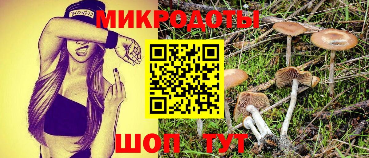 Псилоцибиновые грибы GOLDEN TEACHER Киров
